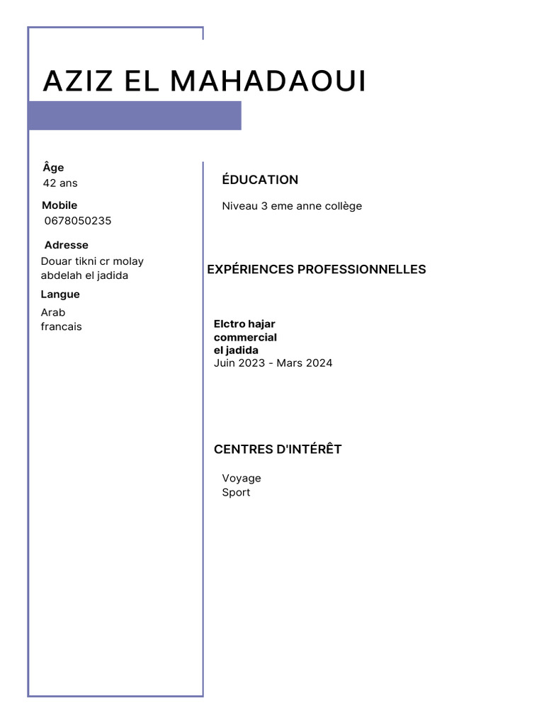 CV d'Aziz El Mahadaoui | PDF