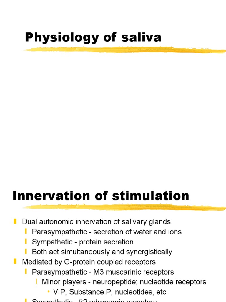 Physiology of saliva Secretion Vesicle (Biology And Chemistry)