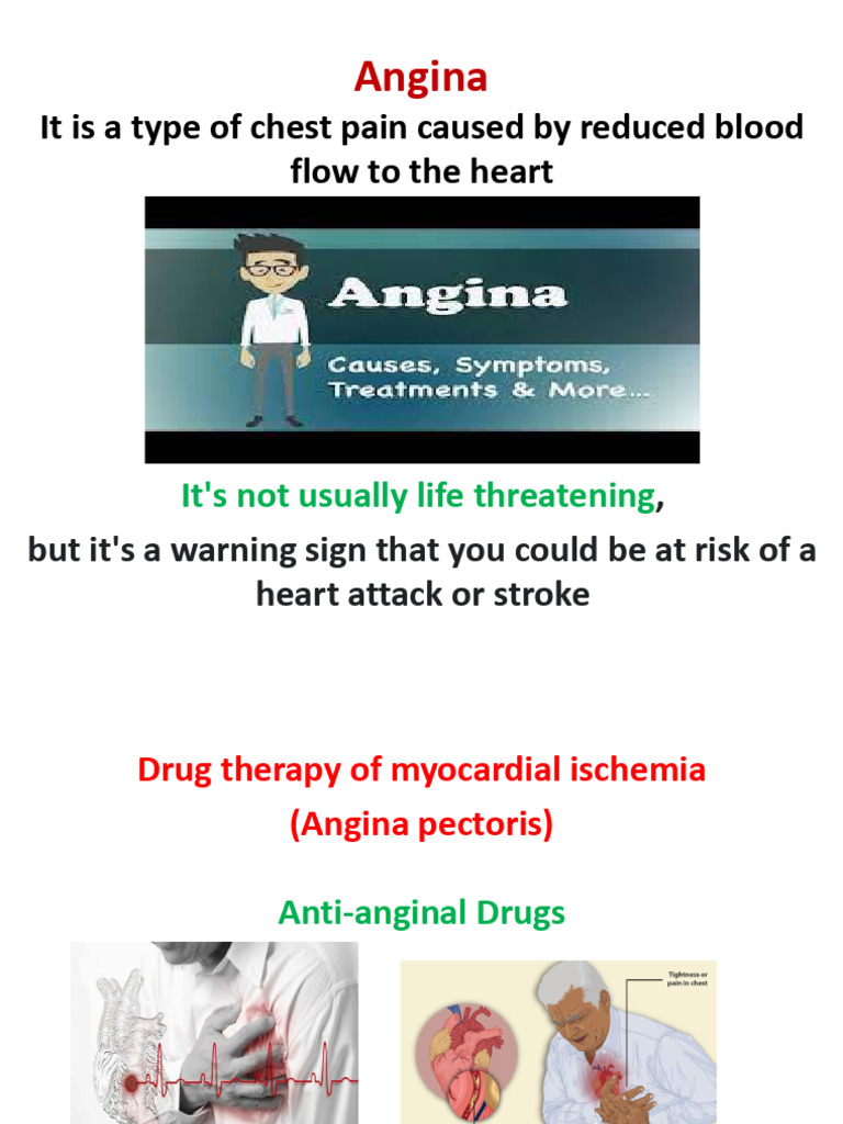 Anti Angina | PDF | Myocardial Infarction | Cardiovascular System