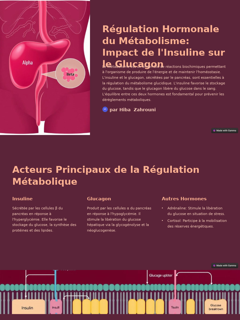 r-gulation-m-tabolique-insuline-et-glucagon-pdf-insuline