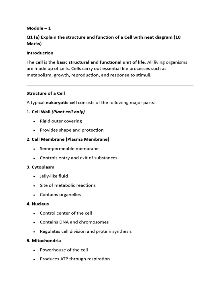 12 | PDF | Cell (Biology) | Endoplasmic Reticulum