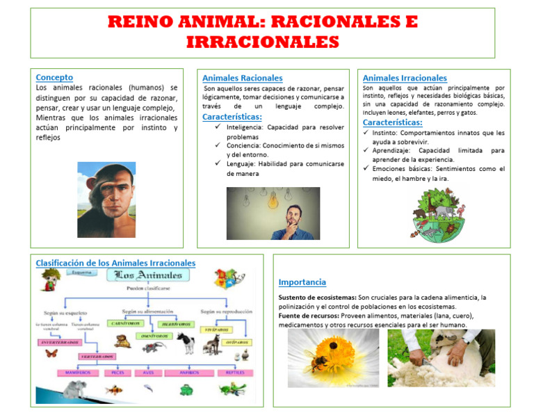 Animales Racionales e Irracionales | PDF | Instinto | Aprendizaje