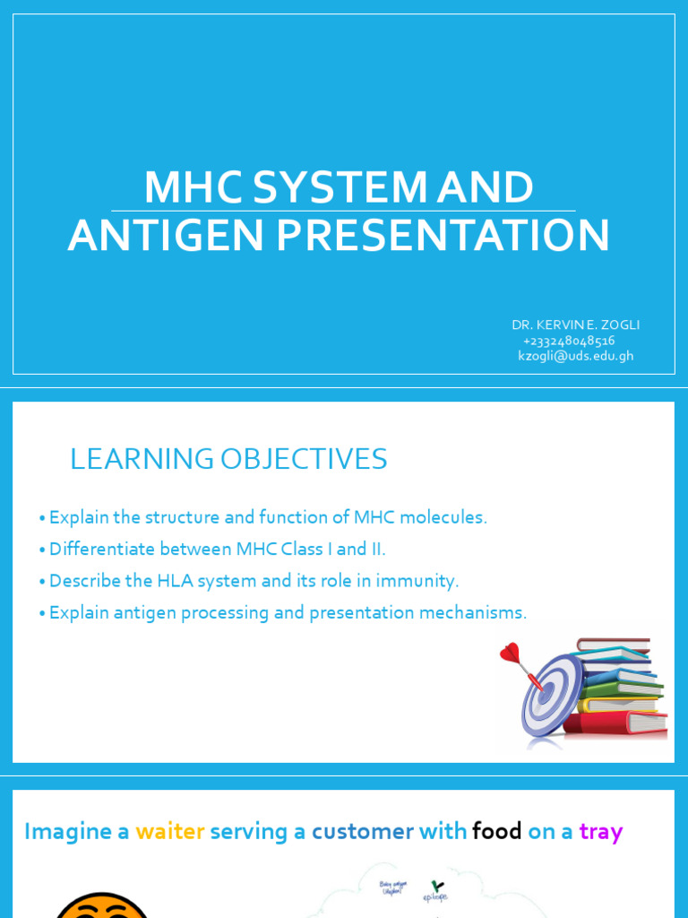 MHC Molecules and Antigen Presentation | PDF | Mhc Class I | Major ...