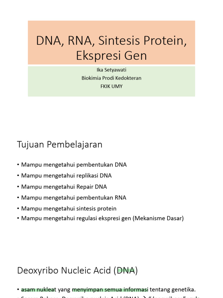 Proses Sintesis DNA dan RNA dalam Biokimia | PDF