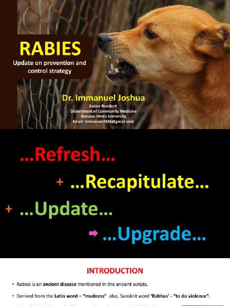 Rabies Main | PDF