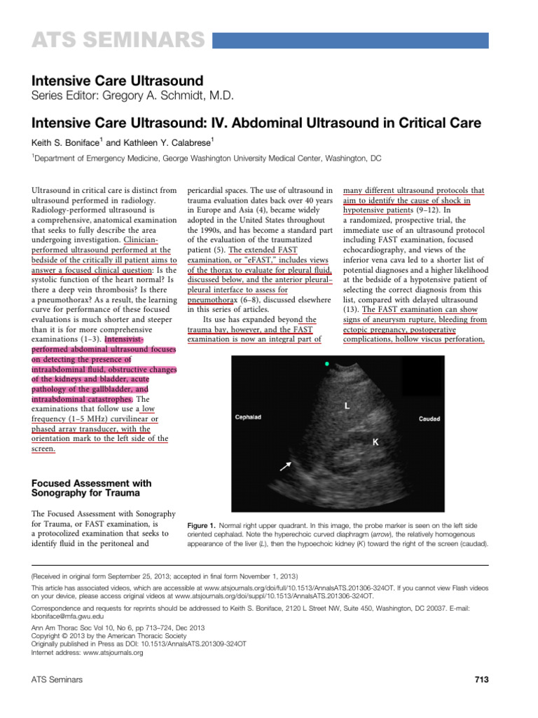 Abdominal Ultrasound in Critical Care | PDF | Medical Ultrasound | Aorta