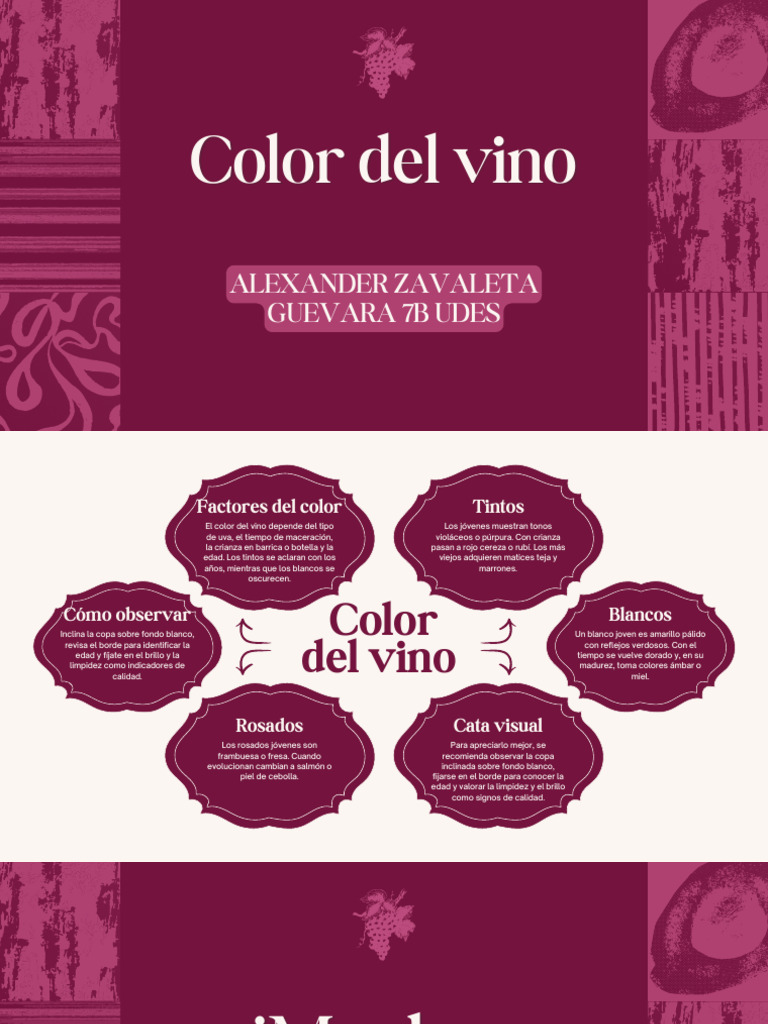 Color y características del vino | PDF | Vino | Color