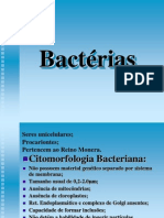 Bactérias..