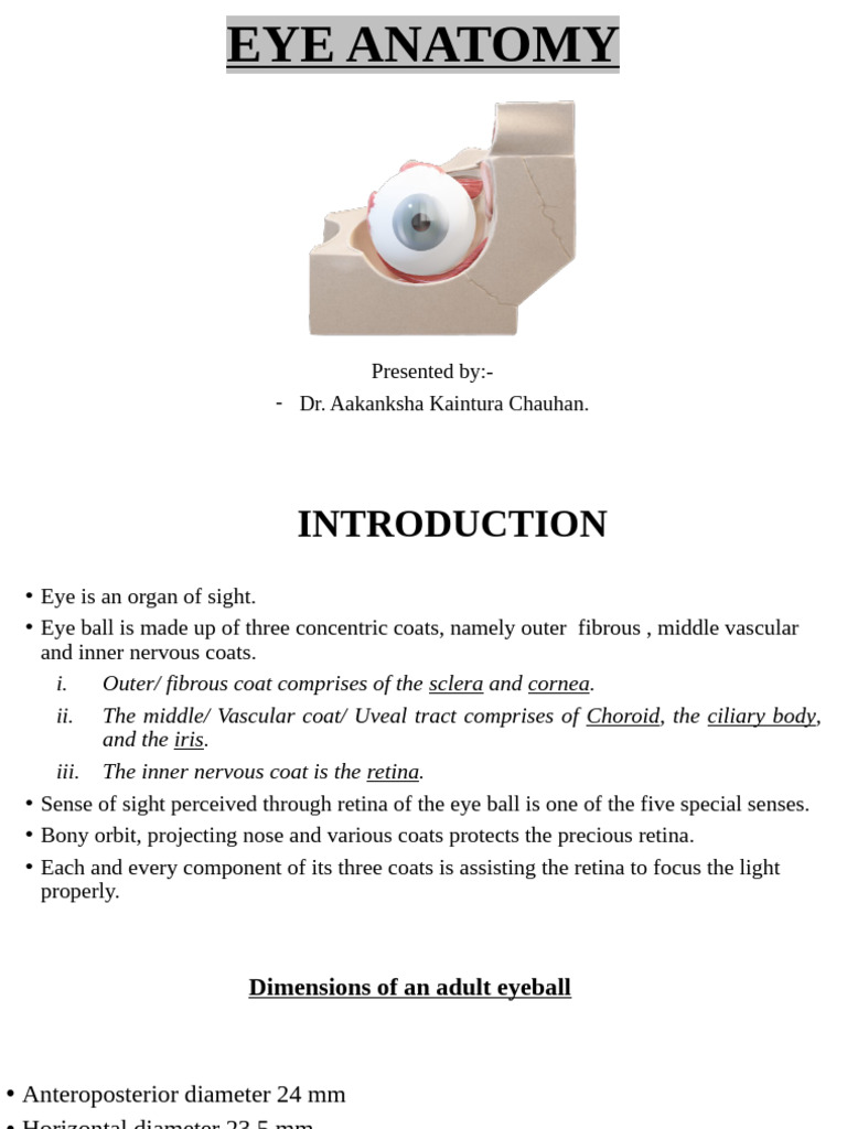Comprehensive Eye Anatomy Overview | PDF | Eye | Visual System