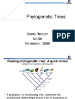 2 - Reading Phylogenetic Trees