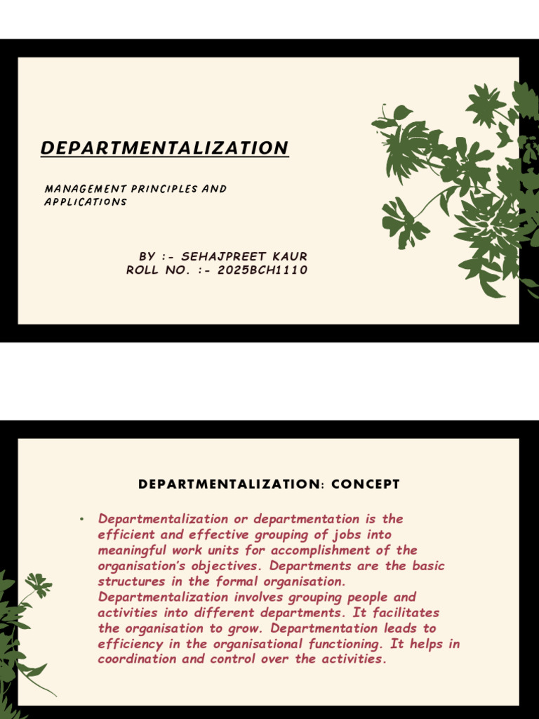 Understanding Departmentalization in Management | PDF | Organizational ...