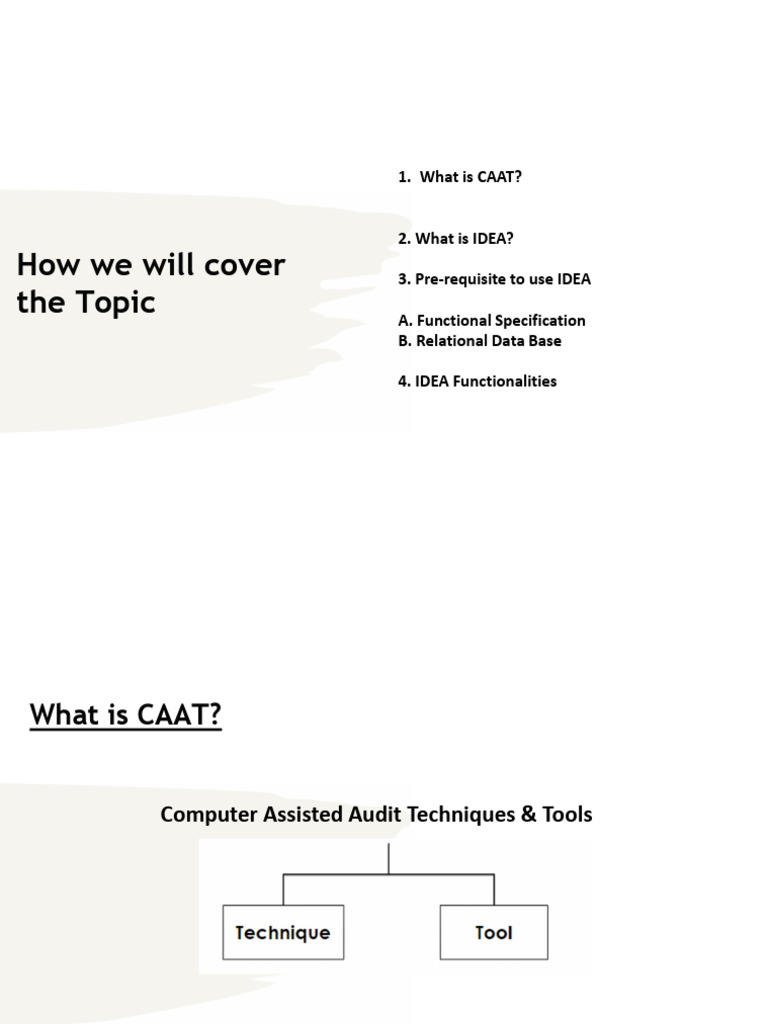Understanding IDEA and CAAT Tools | PDF | Microsoft Excel | Algorithms