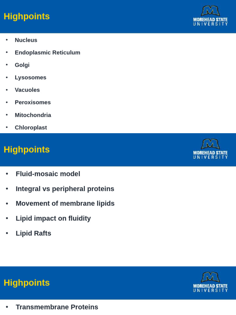 Cell Structure and Metabolism Overview | PDF