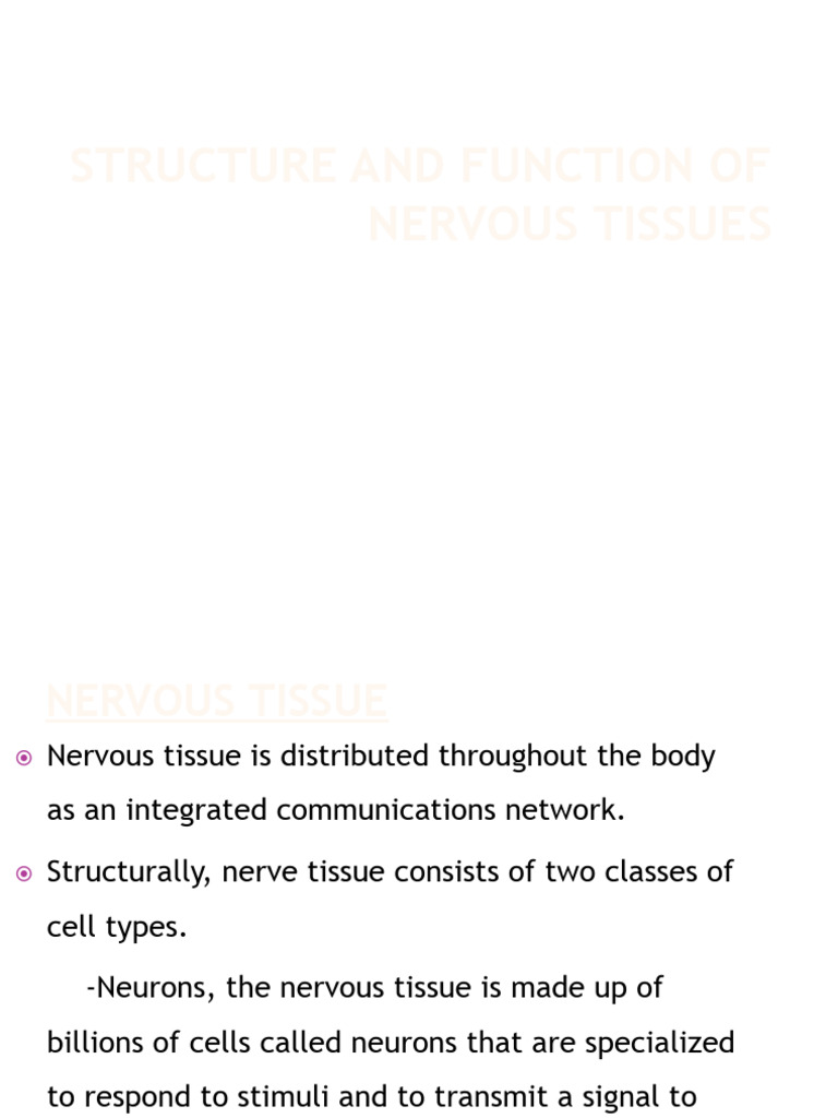 Nervous Tissue: Structure and Functions | PDF | Neuron | Nervous System