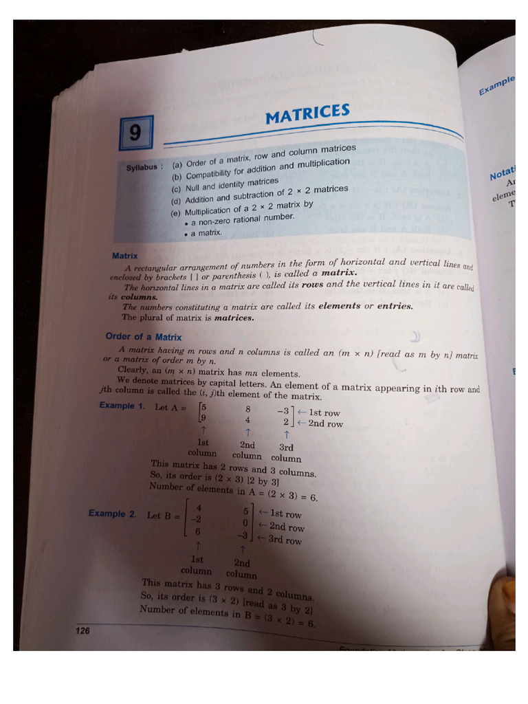 Matrices 10 TH | PDF