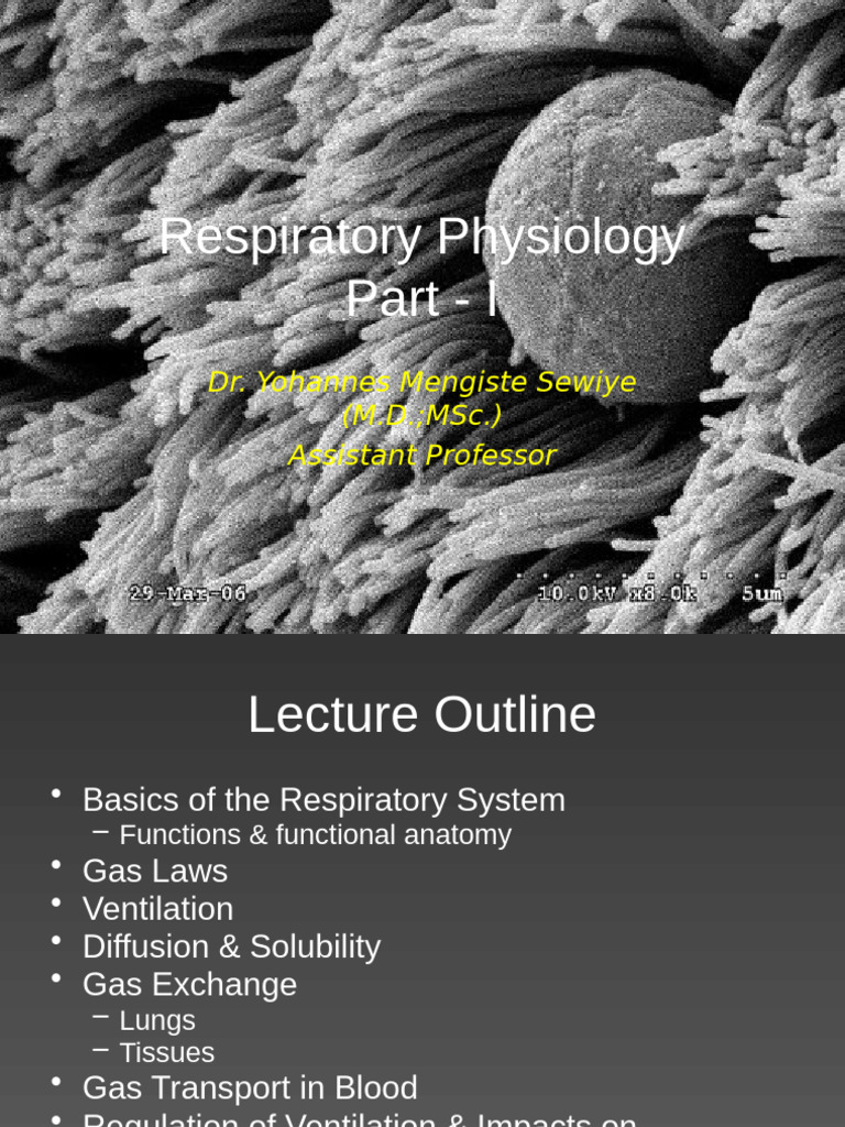 Respiratory Physiology Overview | PDF | Respiratory Tract | Respiratory ...