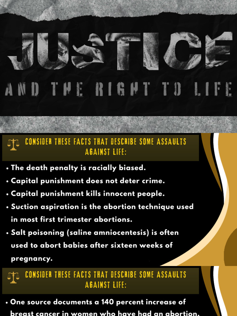 Pro-Life Perspectives on Abortion and Euthanasia | PDF | Abortion ...
