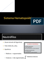 Neutrófilos: produção, funções e alterações