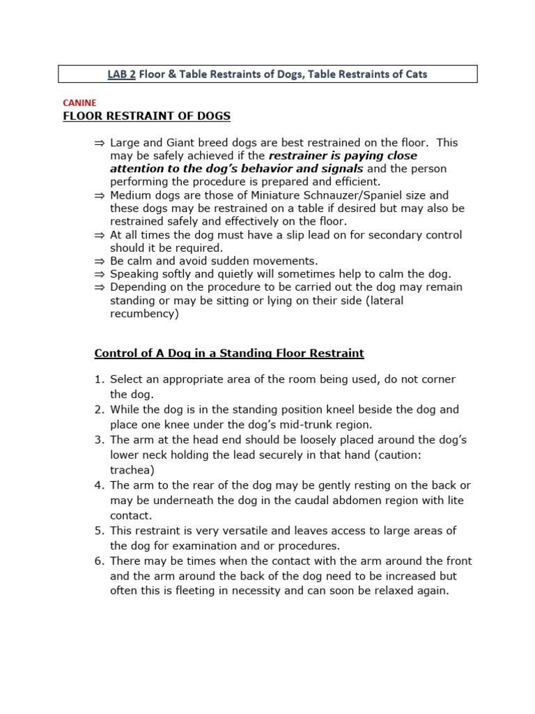 Dog & Cat Restraint Techniques Guide | PDF | Dogs