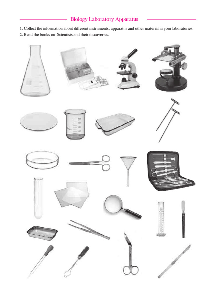 Biology Lab Instruments and Microscope Use | PDF | Mitosis | Meiosis
