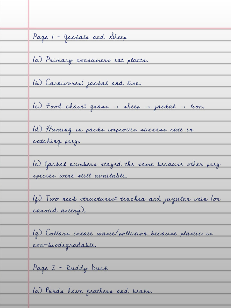 Classification Answers | PDF