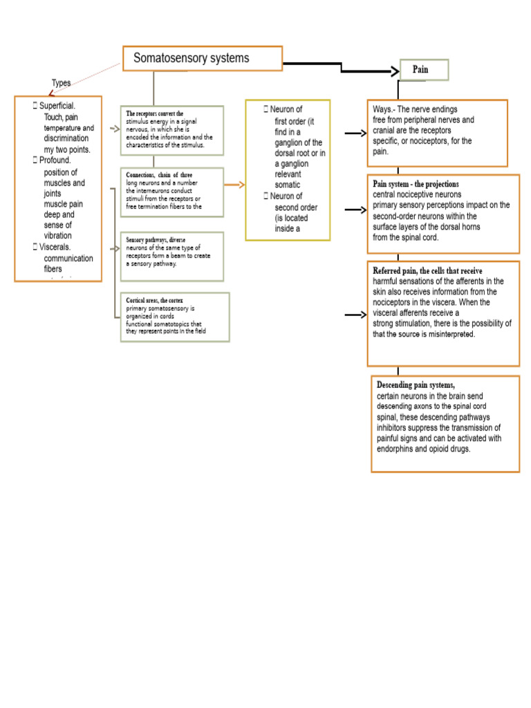 Somatosensory Concept Map | PDF | Somatosensory System | Pain