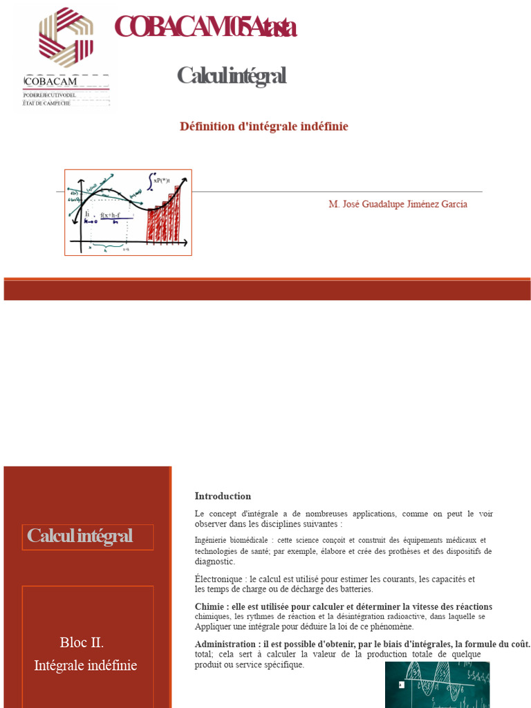 Intégrale Indéfinie : Définition et Exemples | PDF | Intégral ...