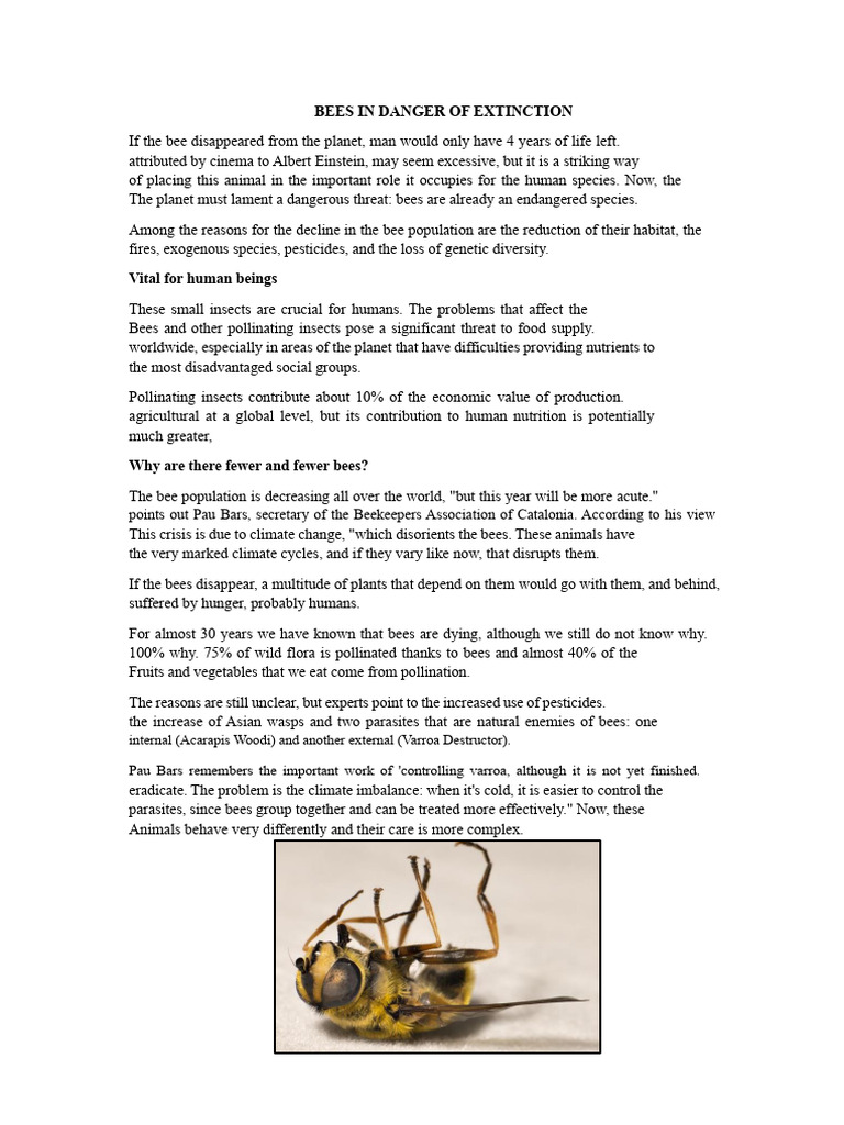 Bees in Danger of Extinction | PDF | Bees | Pollination