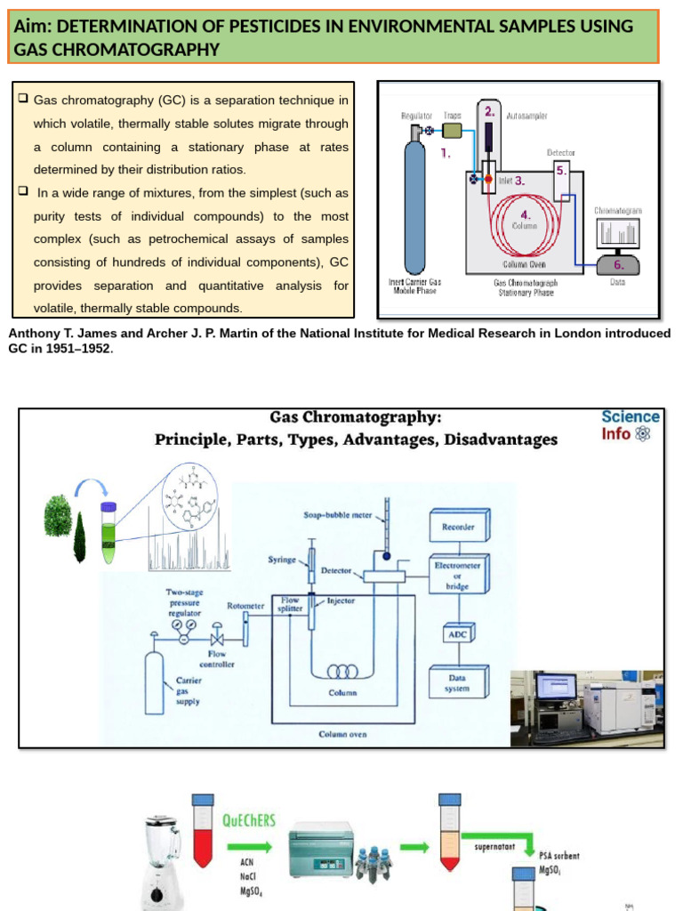 Gas Chromatography Ignou | PDF | Gas Chromatography | Chromatography