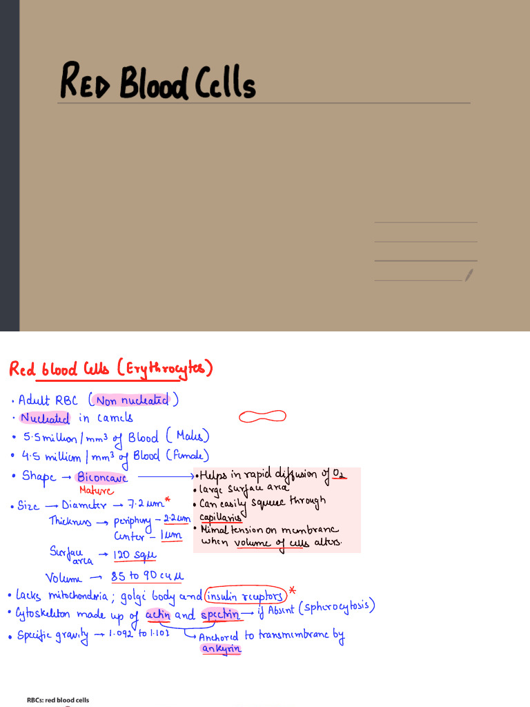 RBC | PDF | Red Blood Cell | Anemia
