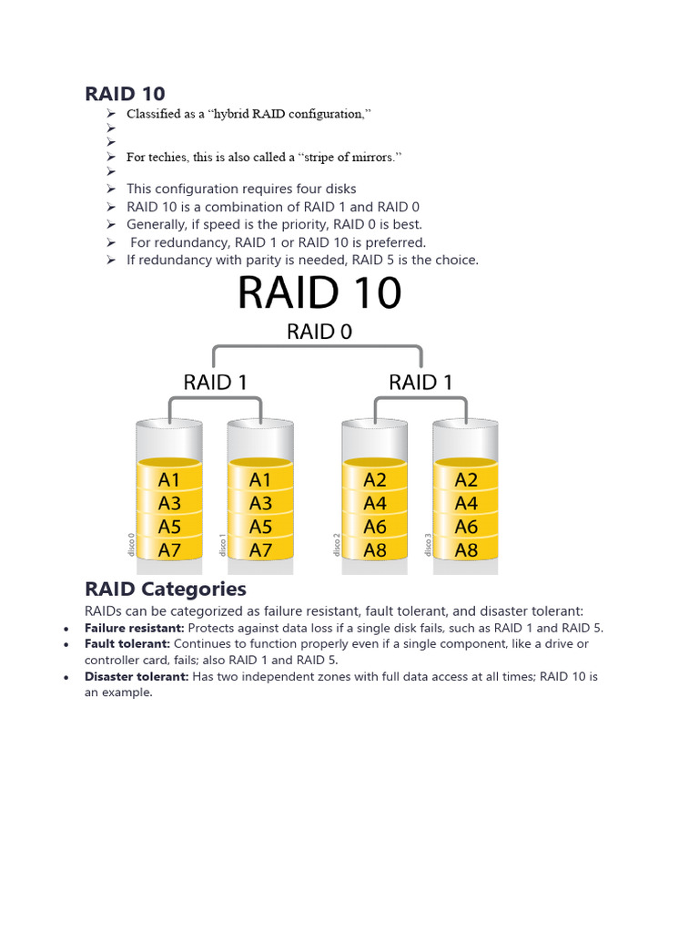 RAID 10 | PDF