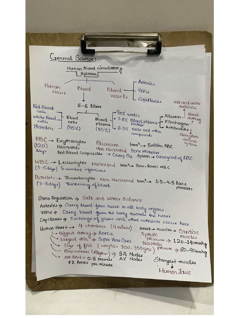 Circu System | PDF