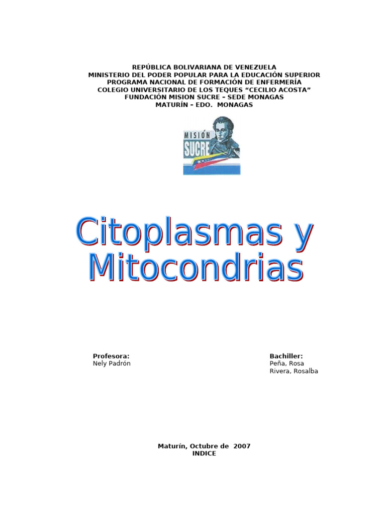 Estructura y Función del Citoplasma Celular | PDF | Citoplasma ...