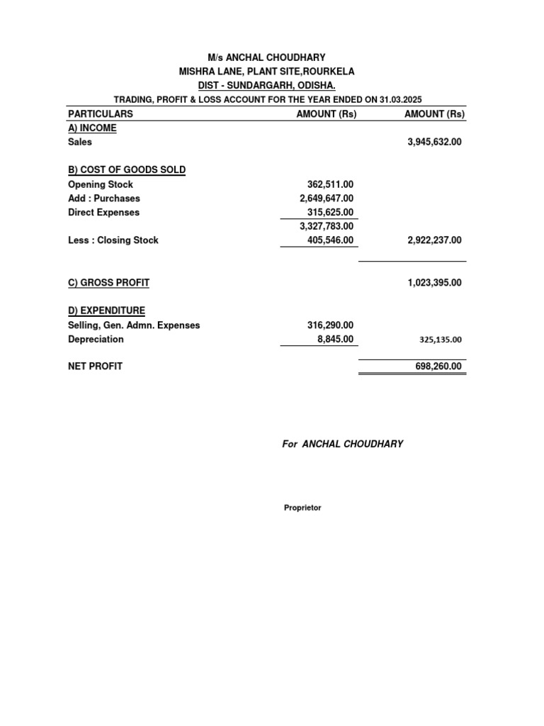 Anchal Choudhury Balance Sheet-25-26 | PDF | Expense | Depreciation