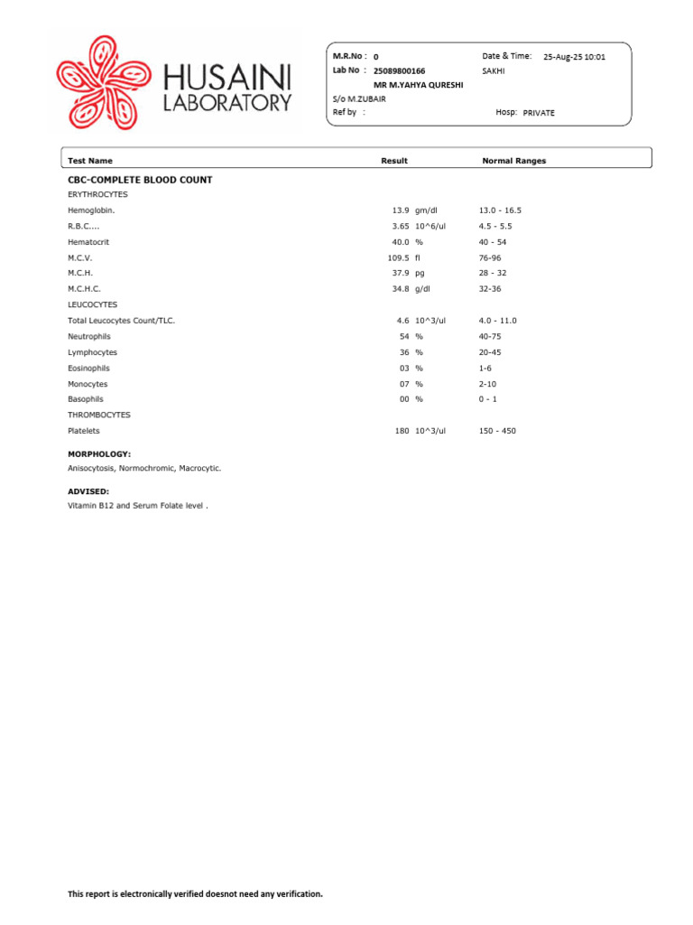 E Report | PDF