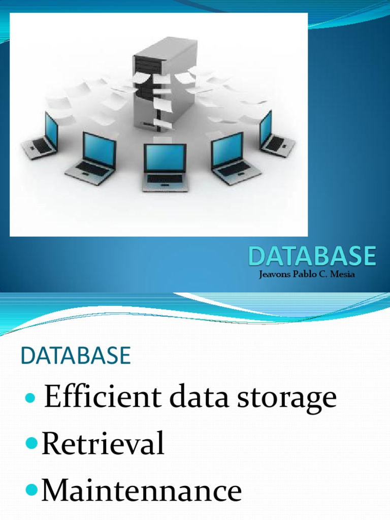 DATABASE Introduction | PDF
