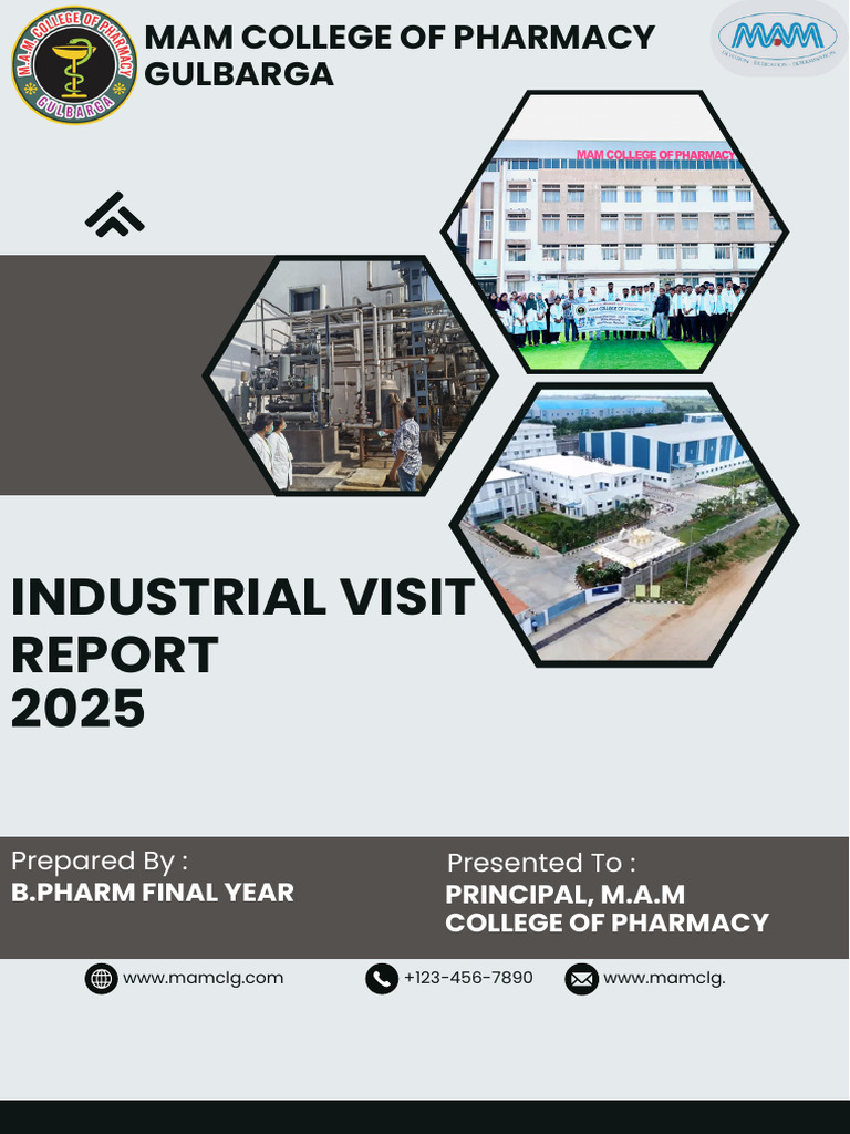 IV-report | PDF