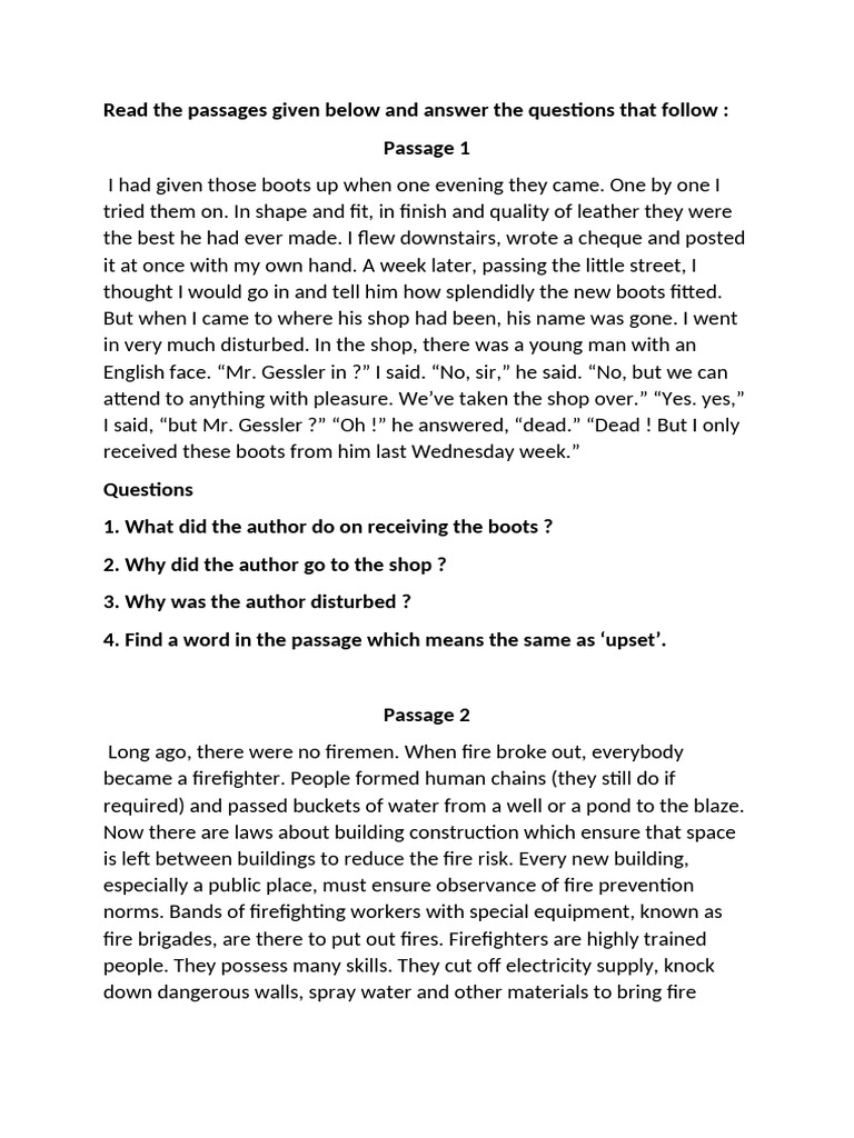 Analyzing Literary Passages and Questions | PDF | Fires | Combustion