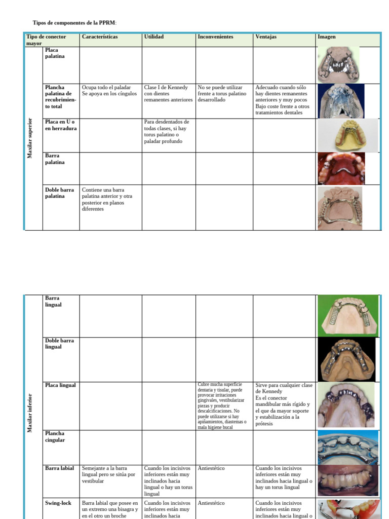 Componentes de la PPRM: Tipos y Usos | PDF | Diente | Odontología