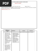 Download PLANIFICACIN DE UNIDAD - est 1 by Isi Larrain SN96892626 doc pdf