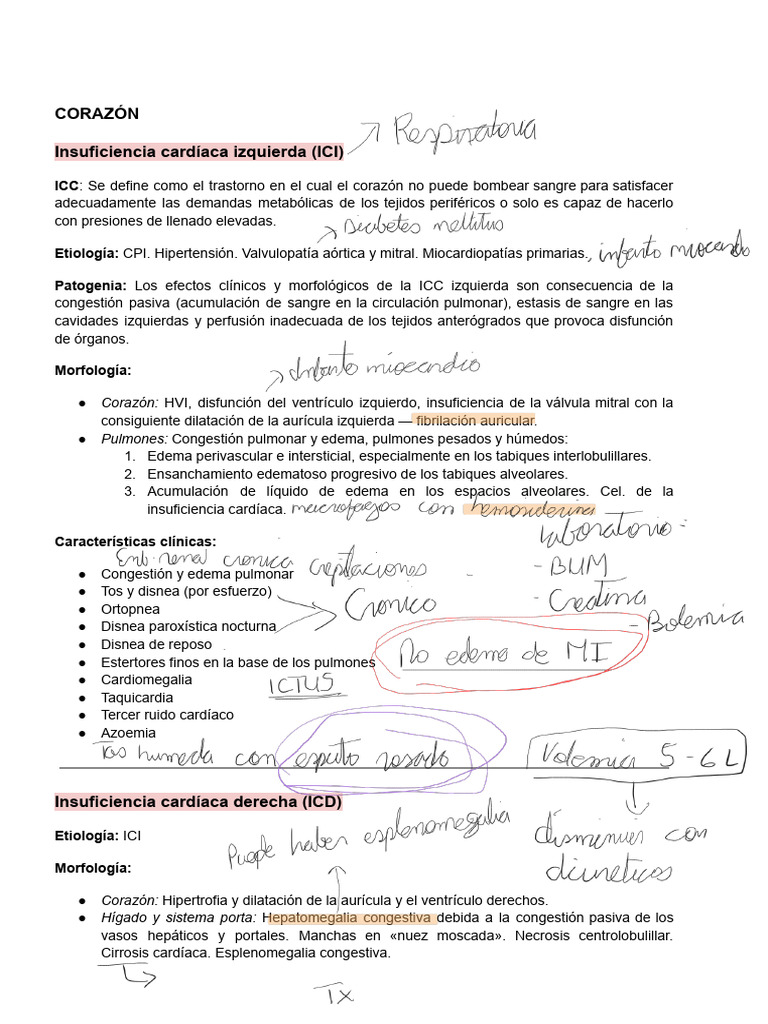 Insuficiencia Cardíaca y Cardiopatías | PDF | Infarto de miocardio ...