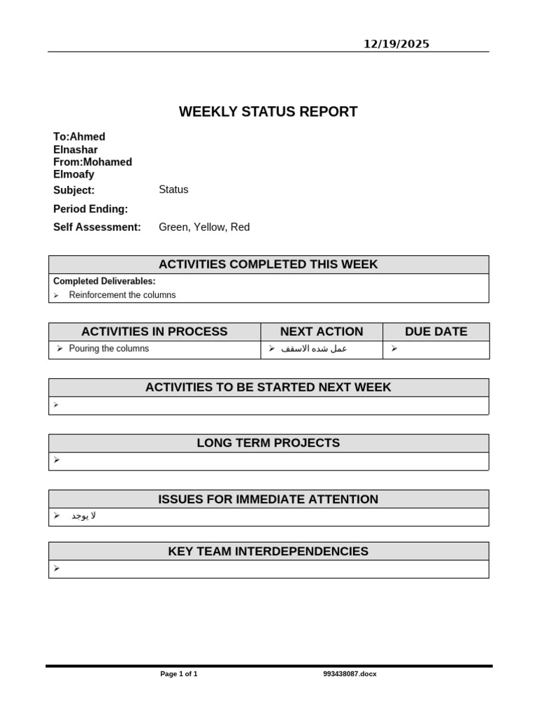 Weekly Status Report Summary | PDF