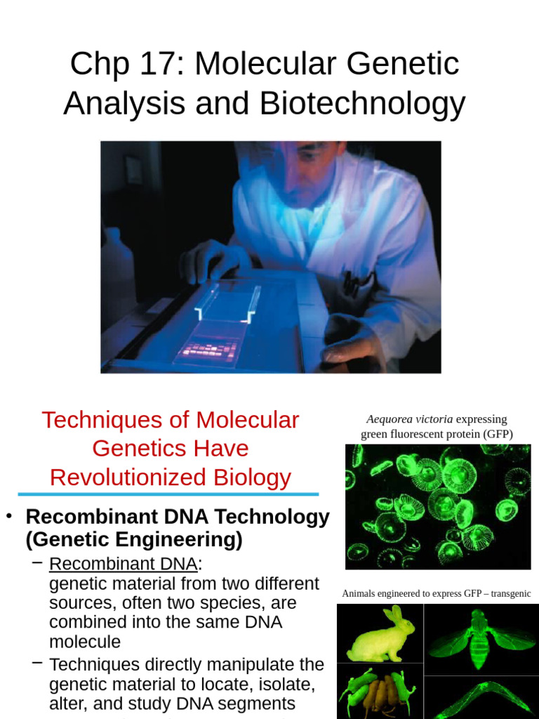 Molecular Genetics and Biotechnology Techniques | PDF