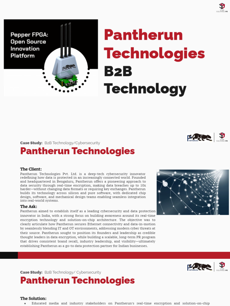 Pantherun Technologies Cybersecurity Case Study | PDF | Computer ...