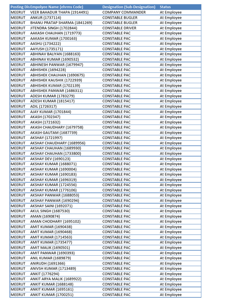 Meerut Employee Designations List | PDF