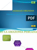 ANIMALES ORIUNDOS de Jean Paul Morante 3A