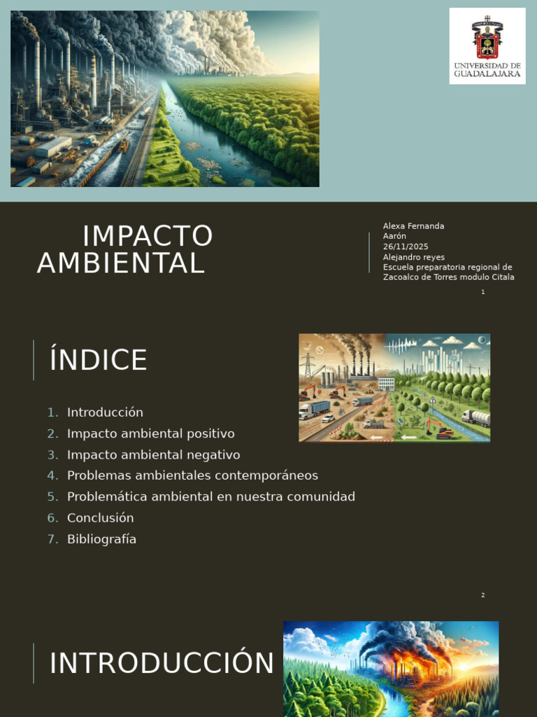 Impacto Ambiental Alexa | PDF | Entorno natural | Contaminación