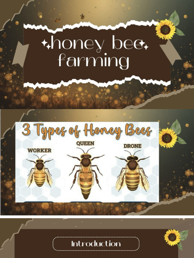 Priya-Honey Bee Farming | PDF
