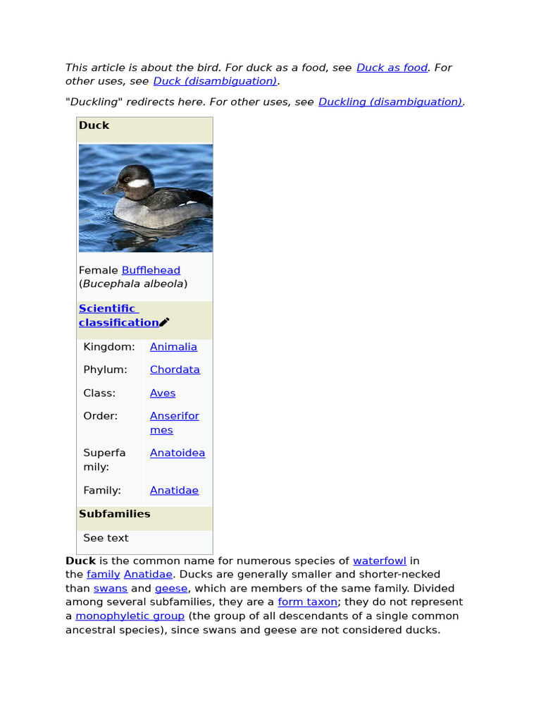 duck | PDF | Duck | Poultry