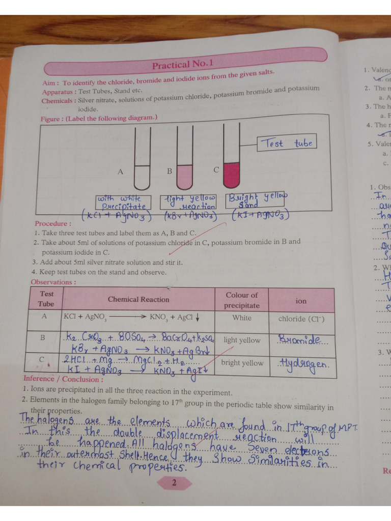 Science 1 Practical | PDF